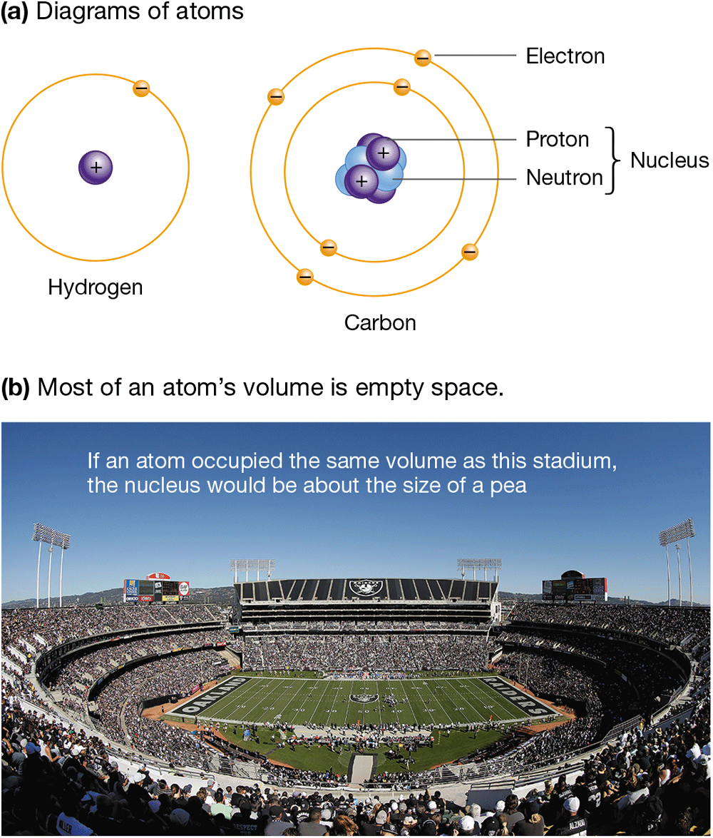 Two images show diagrams of atoms and that most of an atom’s volume is empty.